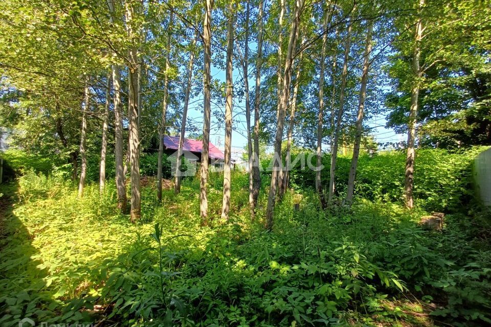 земля г Воскресенск снт Дачное 1, Наро-Фоминский городской округ фото 4