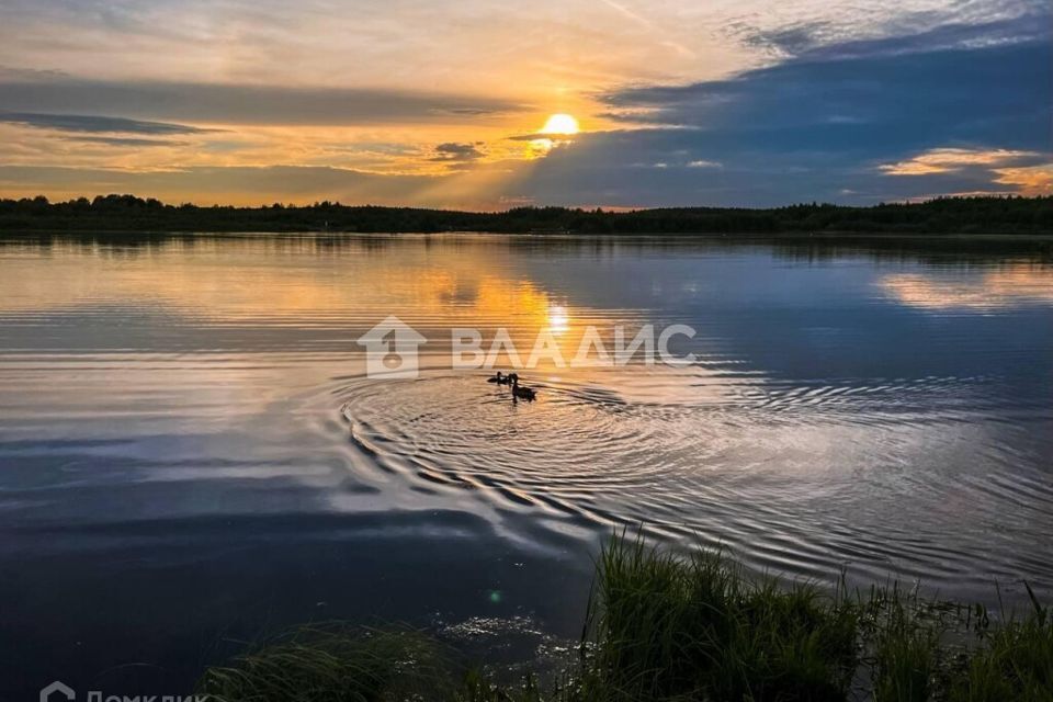 земля городской округ Истра д. Исаково фото 8