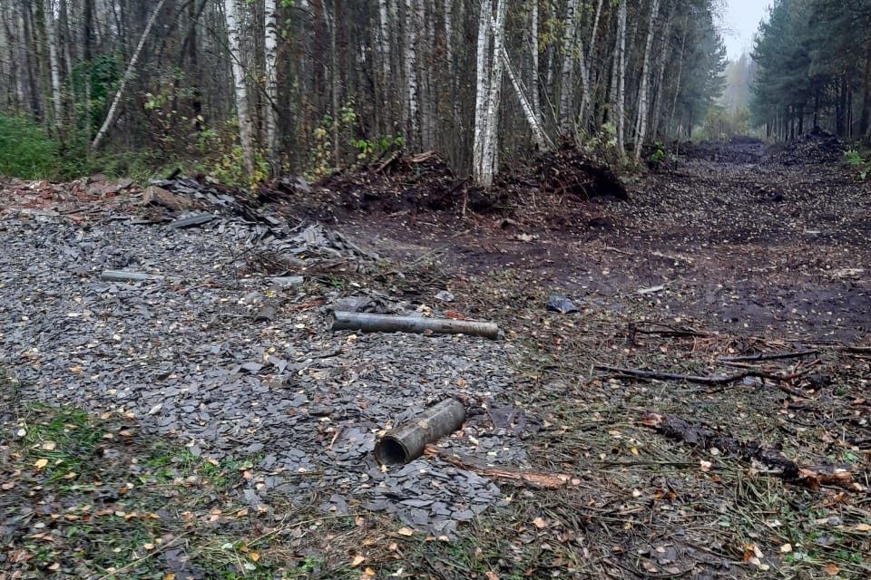 земля городской округ Богородский фото 2