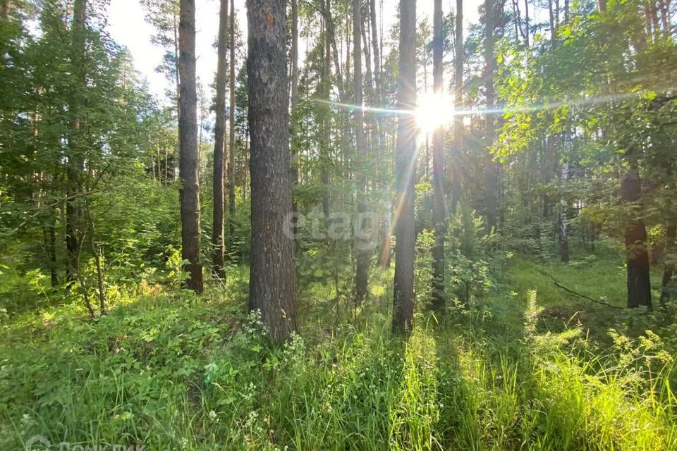 дом городской округ Раменский д Кузнецово снт Вираж 6 фото 2