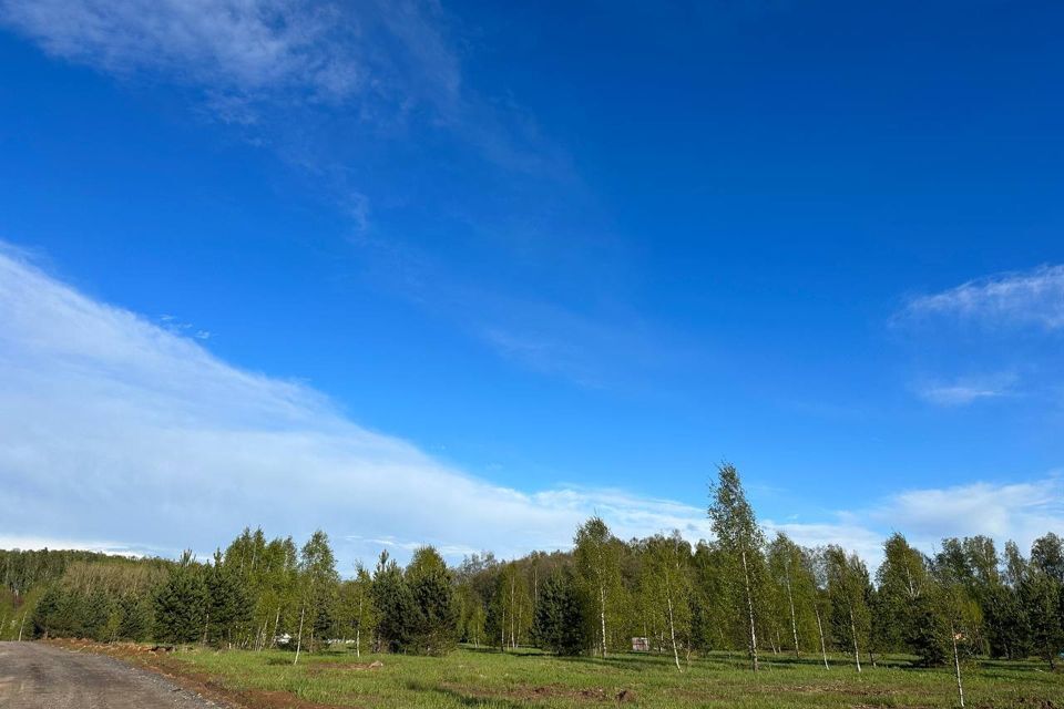 земля городской округ Раменский д. Клишева фото 6