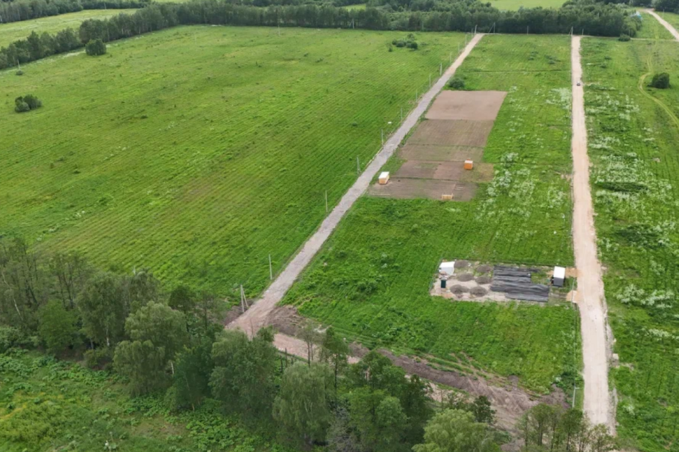 земля Электросталь городской округ, д. Бабеево фото 6