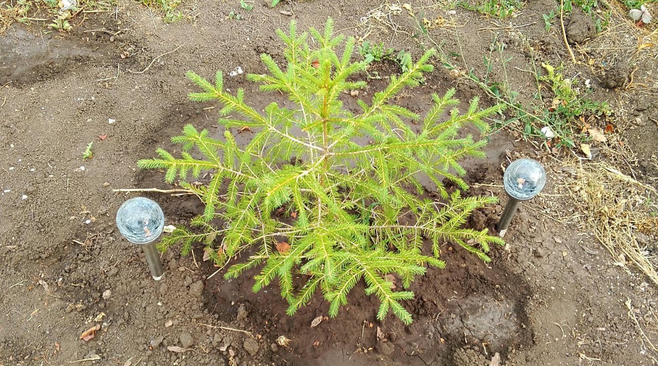 дом г Балаково снт Дары природы фото 17