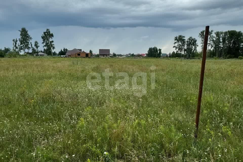 земля р-н Омский посёлок Иртышский фото 7