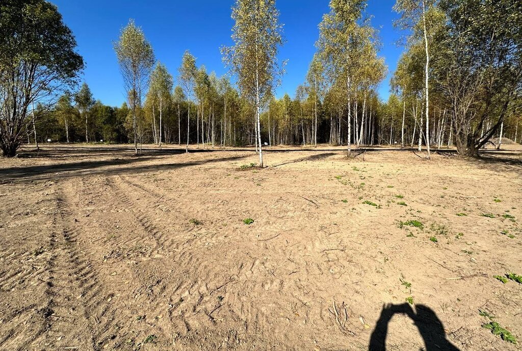 земля городской округ Истра д Новодарьино Нахабино фото 20