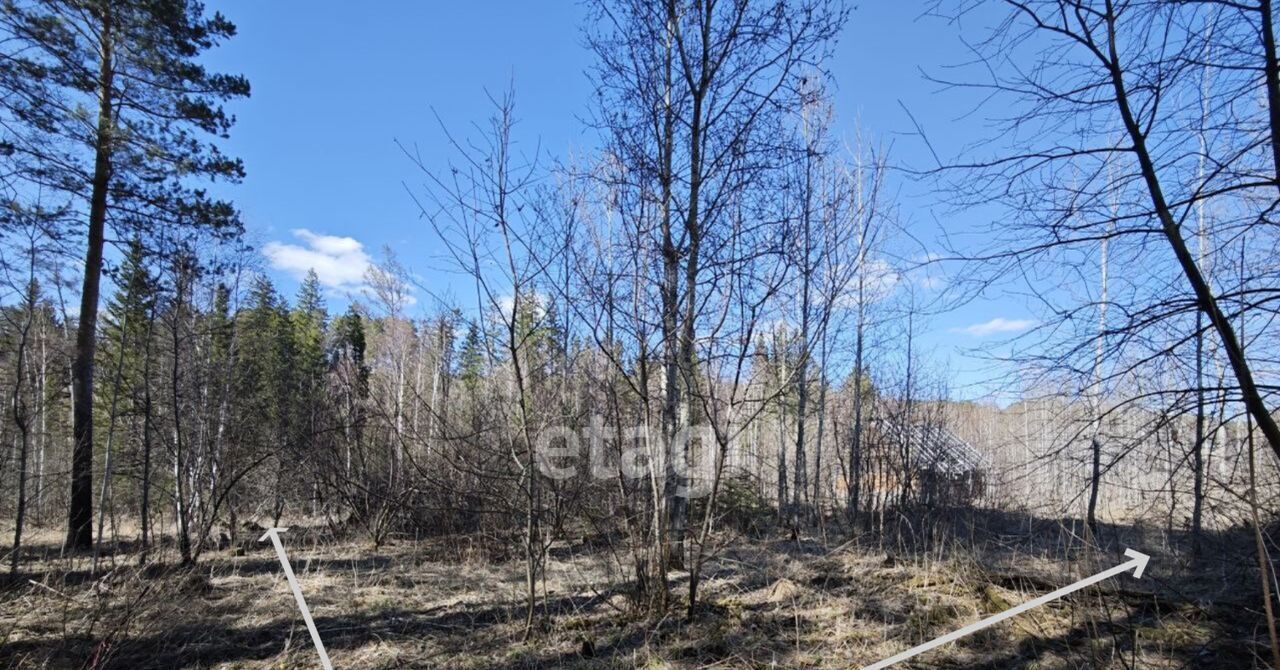 земля г Томск мкр Наука ул Высоцкого р-н Октябрьский фото 1