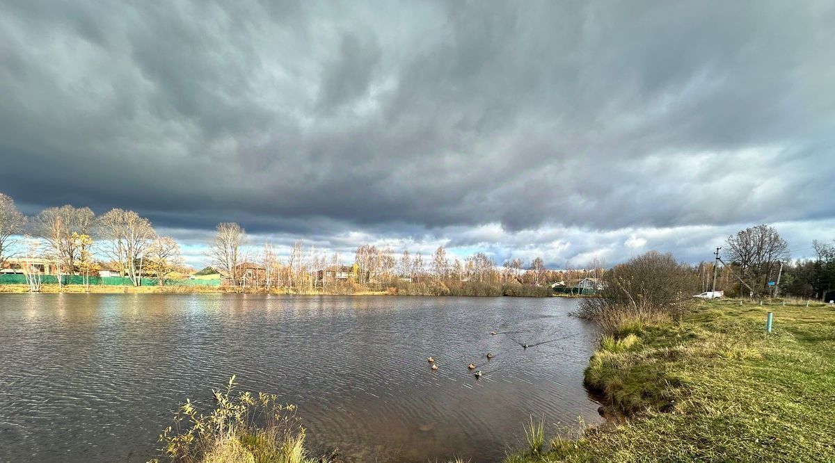 земля городской округ Наро-Фоминский д Тимонино Апрелевка, Заречная фото 9