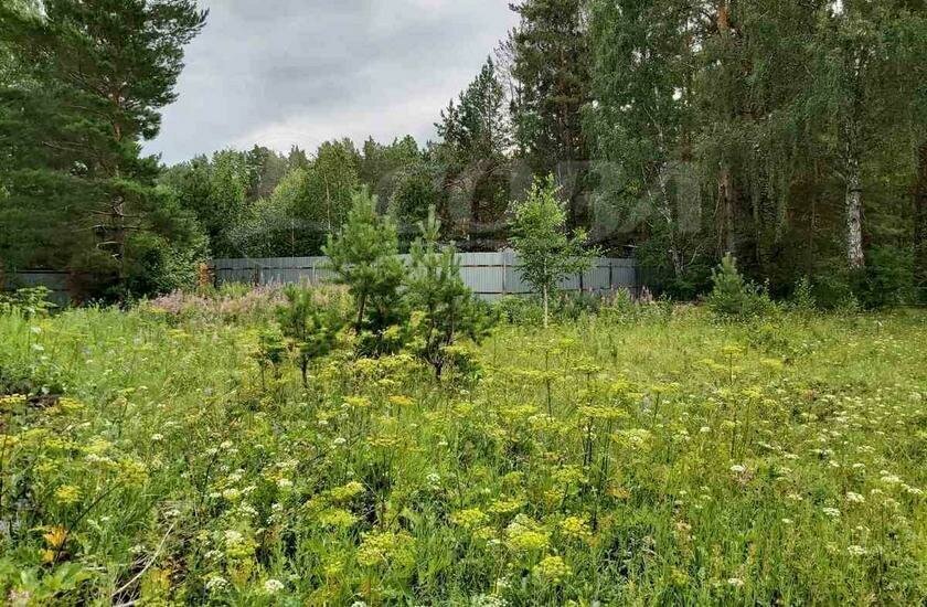 земля р-н Тюменский д Ушакова Переваловское сельское поселение фото 1