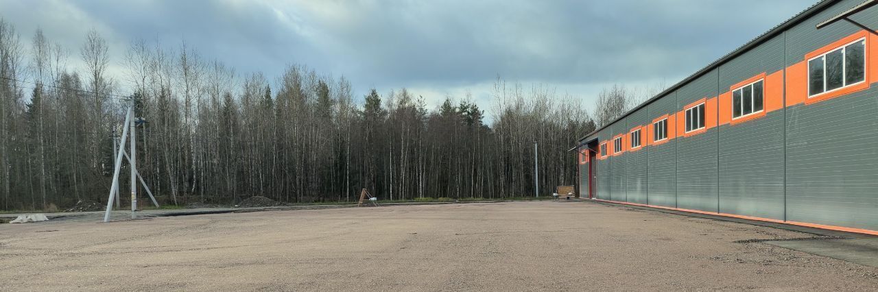 производственные, складские р-н Ломоносовский Низинское с/пос, Порзолово тер фото 2