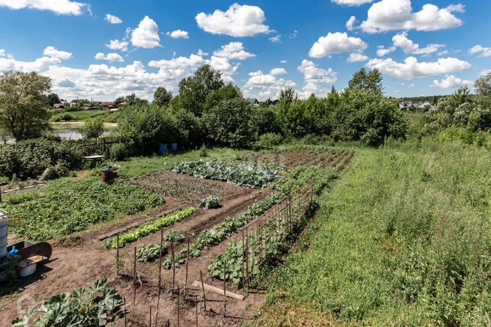 земля городской округ Барнаул, село Лебяжье фото 2