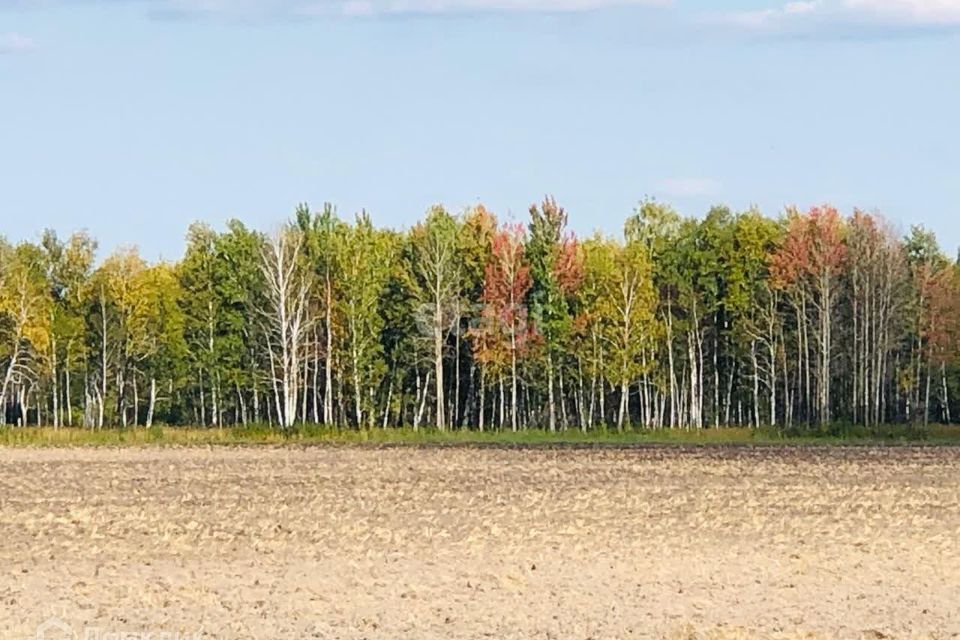 земля р-н Слободо-Туринский фото 2