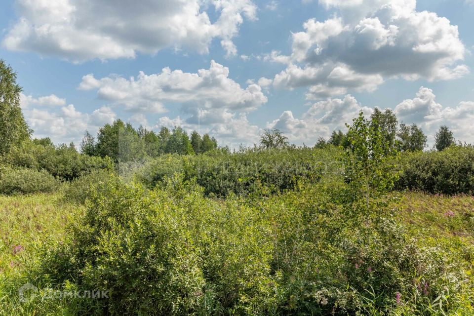 земля г Тюмень городской округ Тюмень, СО Поле чудес фото 3