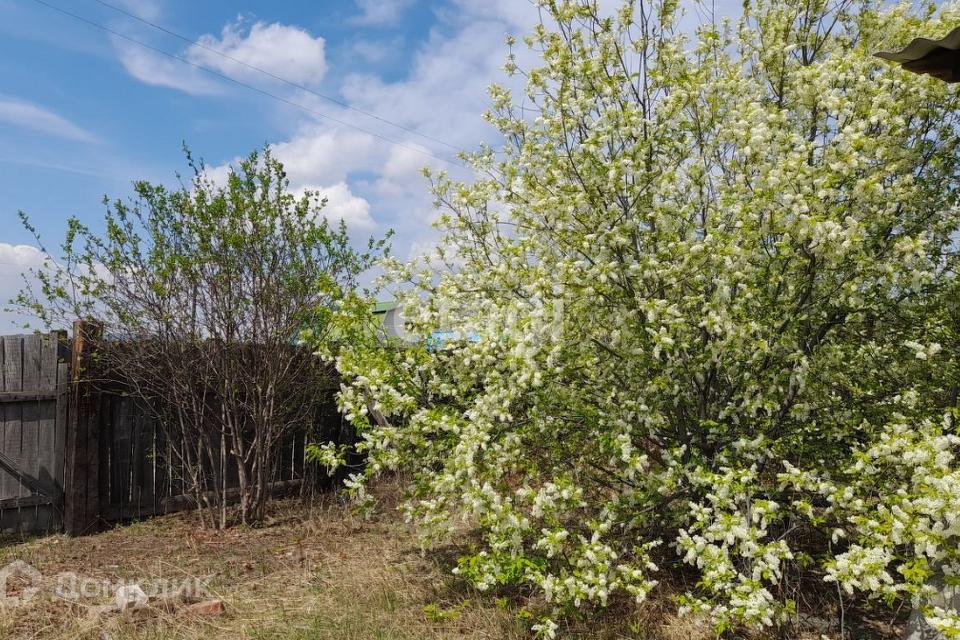 земля г Чита р-н Черновский Чита городской округ, ТСН Учитель фото 4