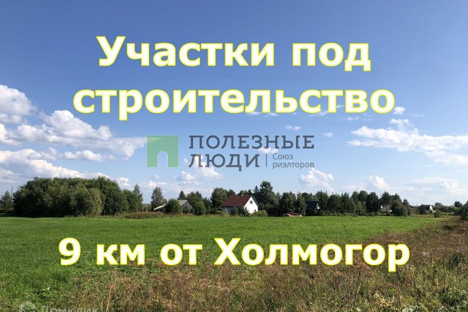 земля р-н Холмогорский деревня Телепниха фото 2