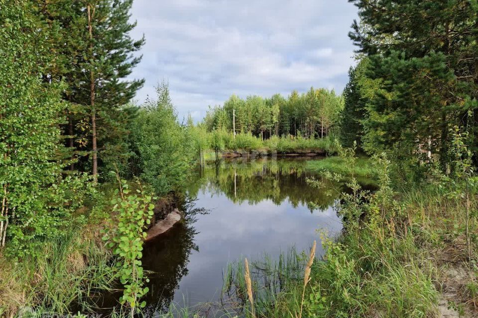 земля г Сургут Сургут городской округ, СТ Полимер фото 6