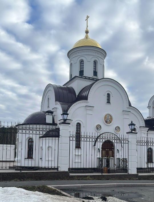 земля р-н Сосновский п Томинский ул Ягодная фото 1