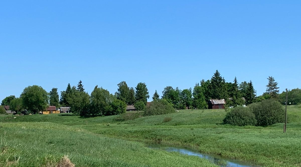 земля р-н Шимский рп Шимск Шимское городское поселение фото 4