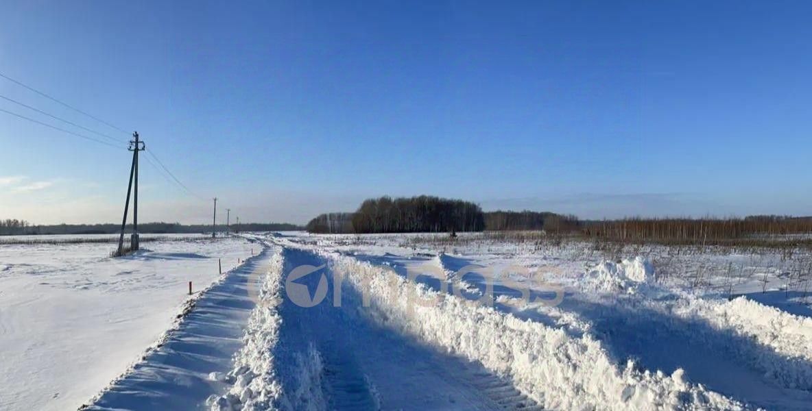 земля р-н Тюменский с Горьковка фото 12