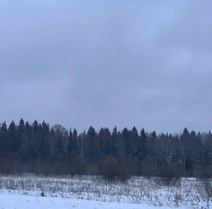 дом городской округ Истра д Надеждино 20 фото 3