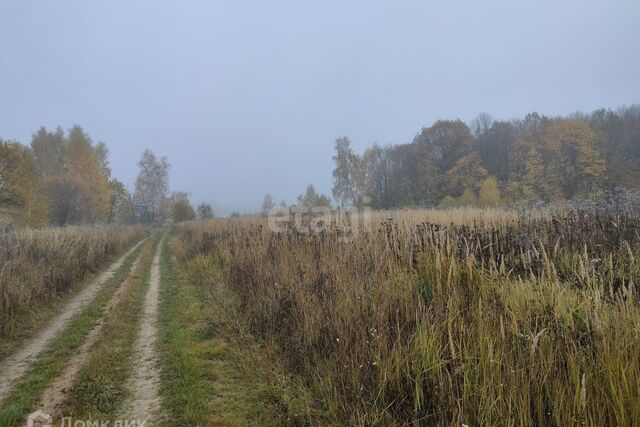 д Лихун посёлок Молодёжный Калуга городской округ, Лихун фото