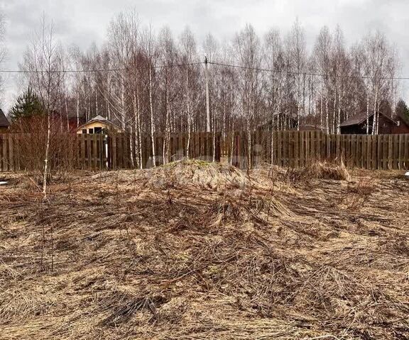 Переславль-Залесский городской округ, Троицкое фото