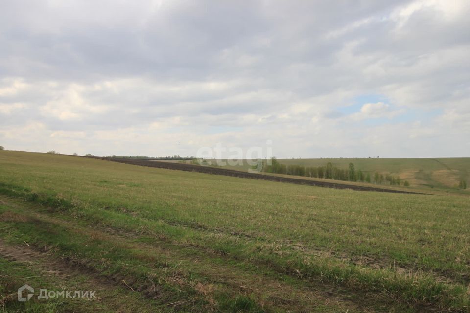 земля р-н Березовский ДНТ Есаульский бор пос. Ермолаевский Затон фото 1