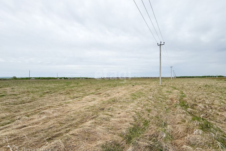 земля г Красноярск р-н Октябрьский Красноярск городской округ, СНТ Дружба фото 1