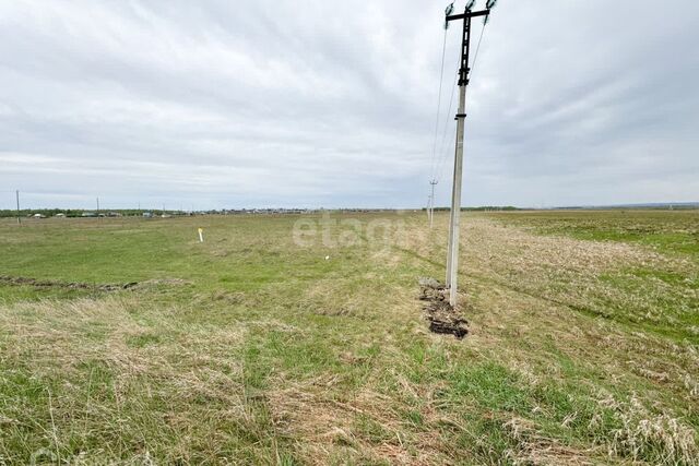 р-н Октябрьский Красноярск городской округ, СНТ Дружба фото