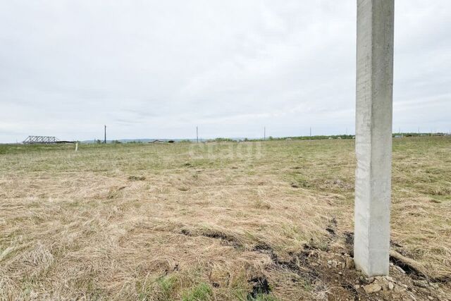 р-н Октябрьский Красноярск городской округ, СНТ Дружба фото