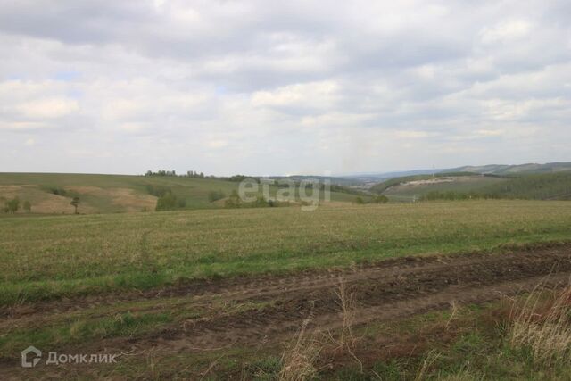 р-н Октябрьский Красноярск городской округ, СНТ Дружба фото