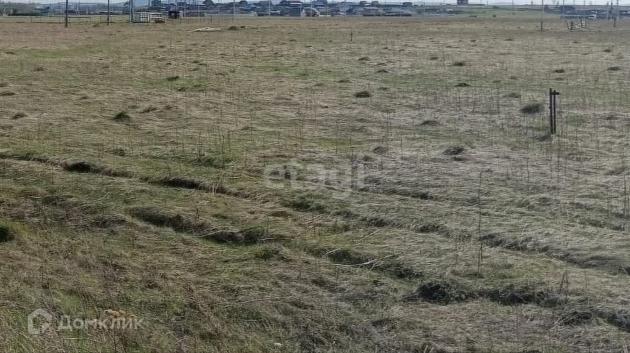 земля г Красноярск р-н Октябрьский Красноярск городской округ, СНТ Дружба фото 1