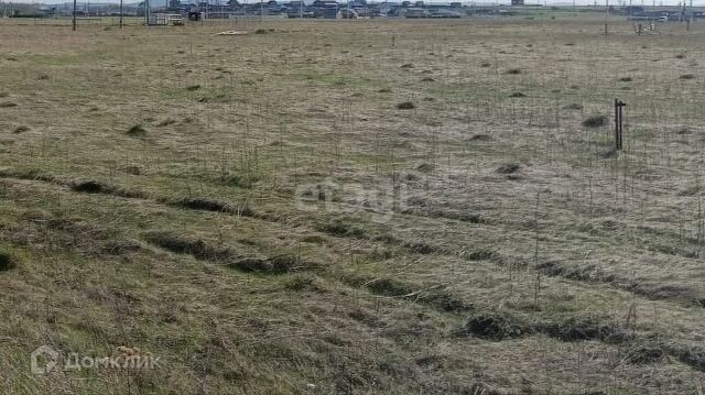 р-н Октябрьский Красноярск городской округ, СНТ Дружба фото