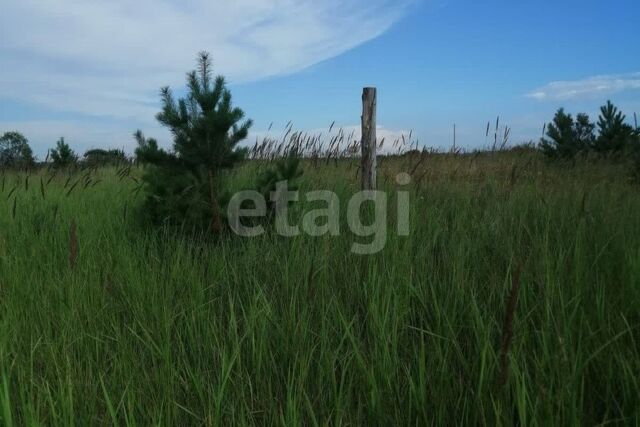 р-н Октябрьский Красноярск городской округ, СНТ Дружба фото