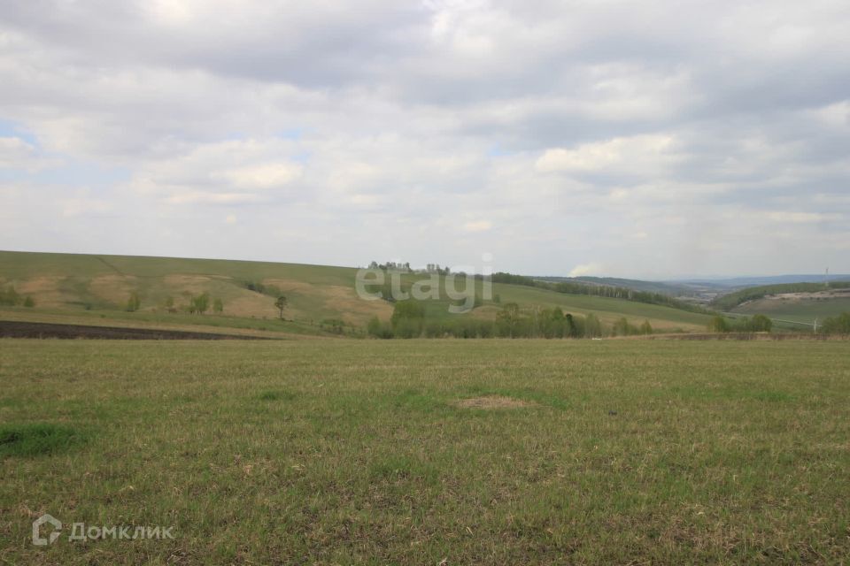 земля г Красноярск р-н Октябрьский Красноярск городской округ, СНТ Дружба фото 1