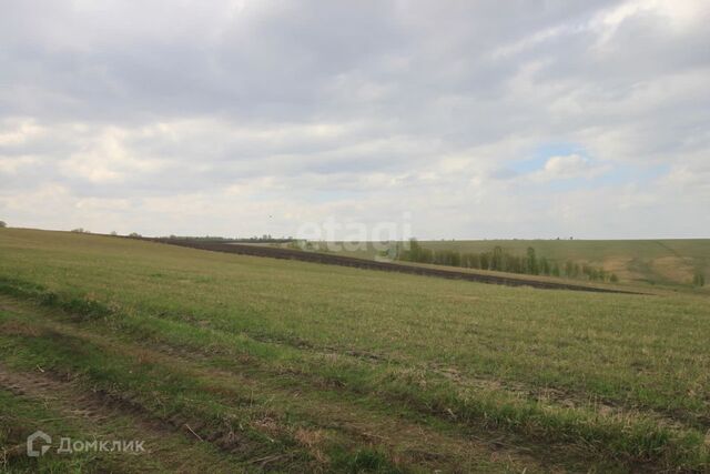 р-н Октябрьский Красноярск городской округ, СНТ Дружба фото