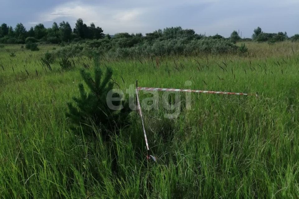 земля г Красноярск р-н Октябрьский Красноярск городской округ, СНТ Дружба фото 1