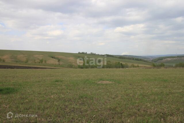 р-н Октябрьский Красноярск городской округ, СНТ Дружба фото