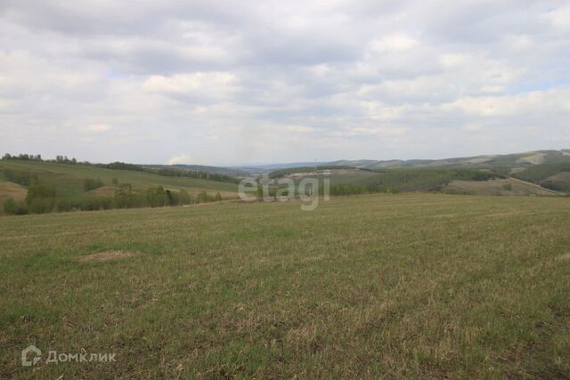 р-н Октябрьский Красноярск городской округ, СНТ Дружба фото