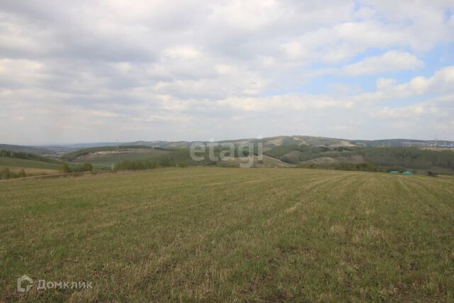 р-н Октябрьский Красноярск городской округ, СНТ Дружба фото