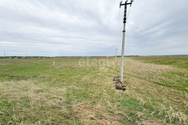 р-н Октябрьский Красноярск городской округ, СНТ Дружба фото