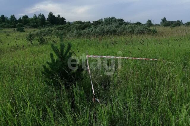 р-н Октябрьский Красноярск городской округ, СНТ Дружба фото