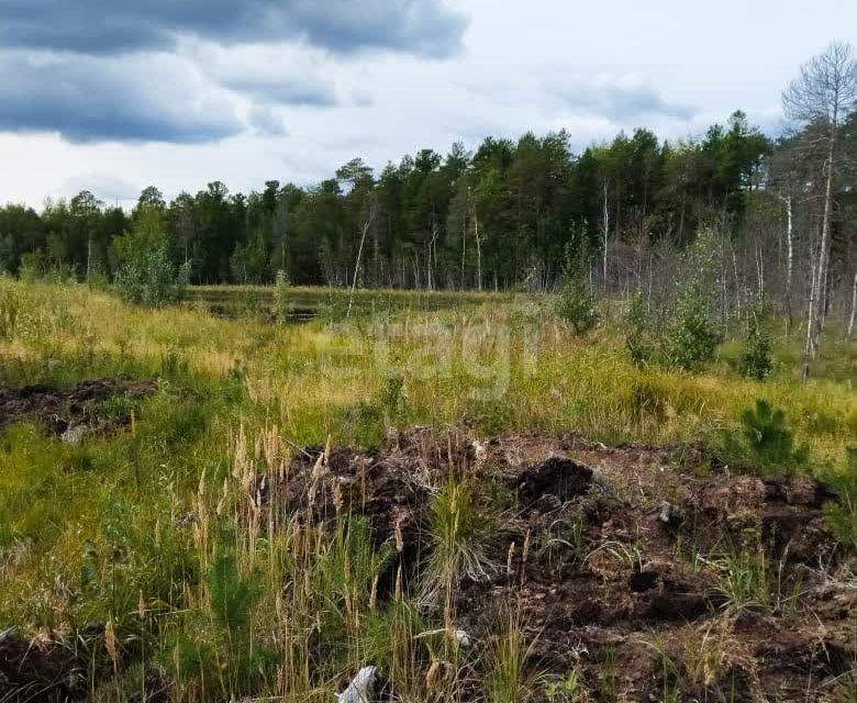 земля г Нижневартовск ДНП Мега-Плюс, Нижневартовск городской округ фото 1