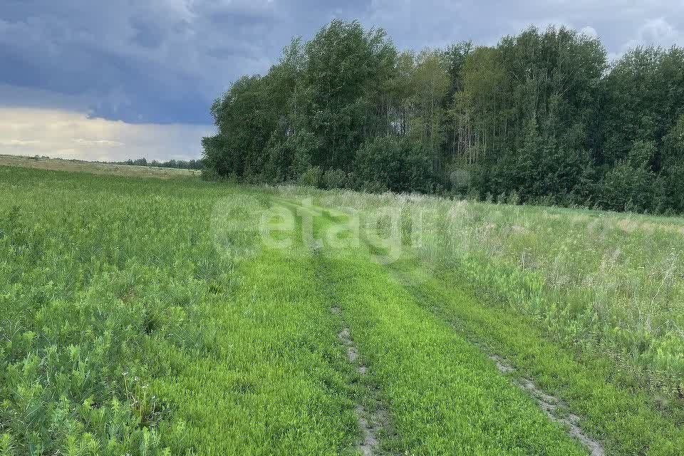 земля р-н Тюменский Большие Акияры фото 3