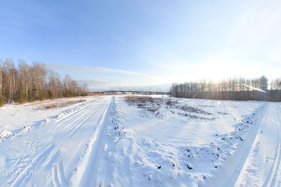 земля р-н Тюменский д Посохова Полевая фото 4