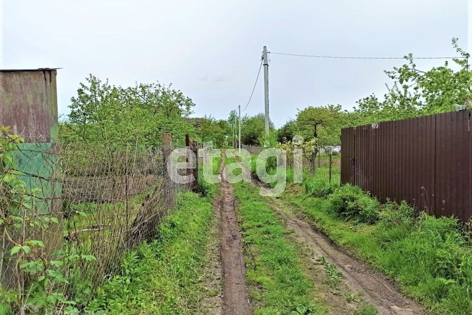 земля р-н Брянский с Толмачево СТ Здоровье фото 1