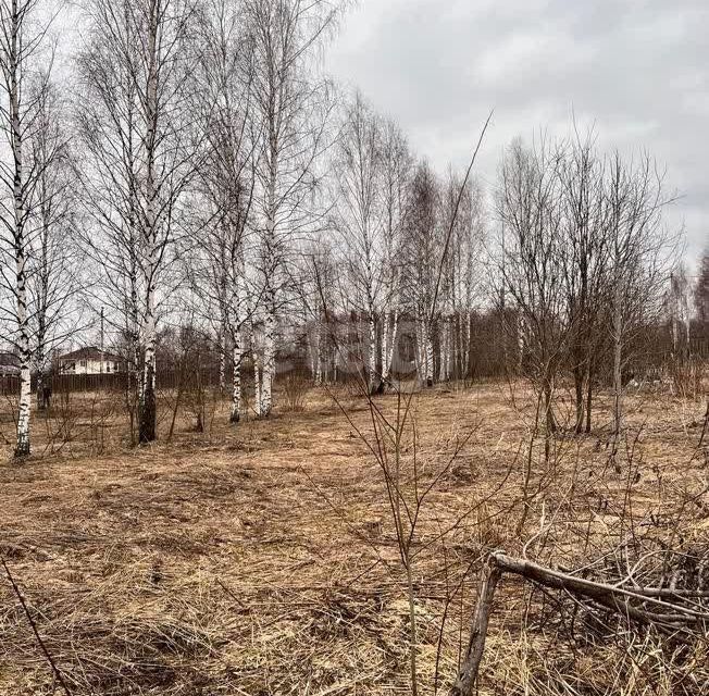 земля Переславль-Залесский городской округ, Троицкое фото 4