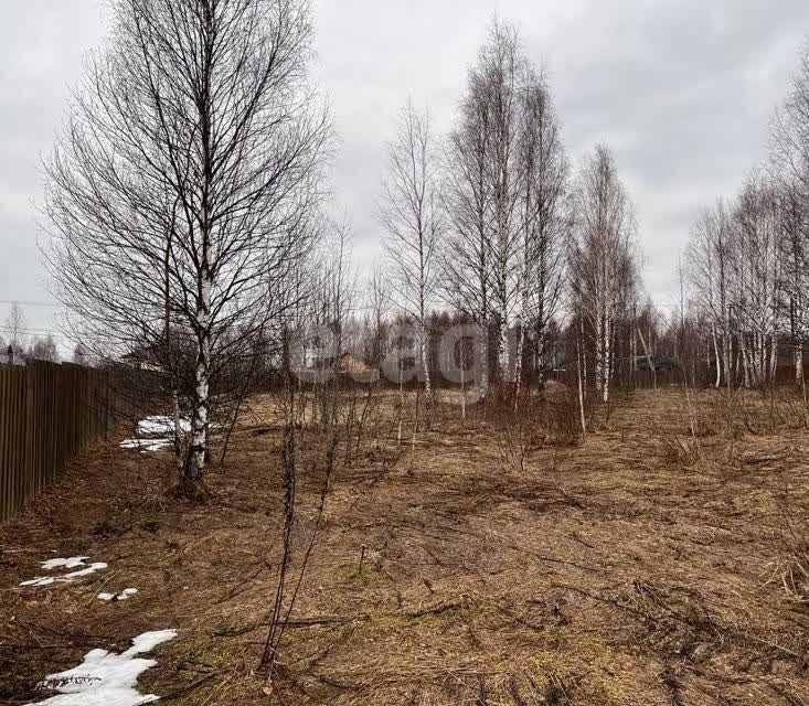 земля Переславль-Залесский городской округ, Троицкое фото 4