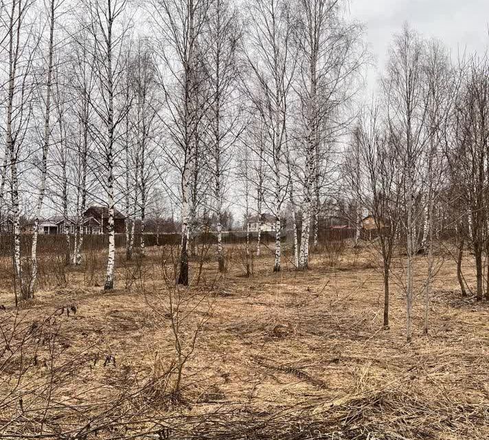 земля Переславль-Залесский городской округ, Троицкое фото 4