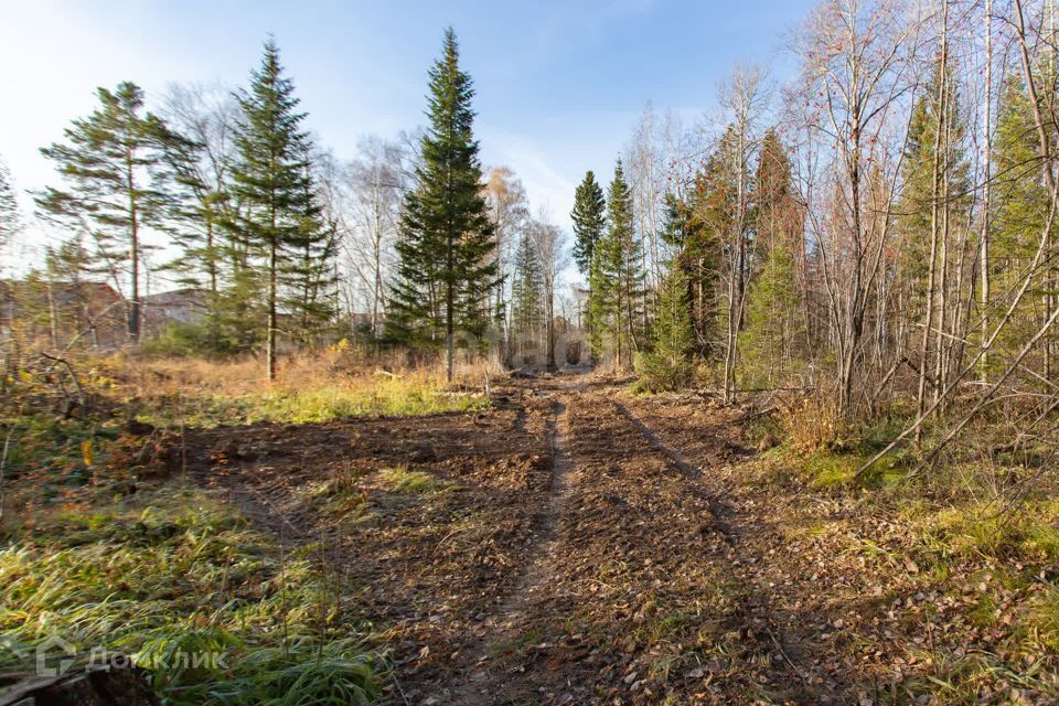 земля г Тобольск Ершовка, Тобольск городской округ фото 3