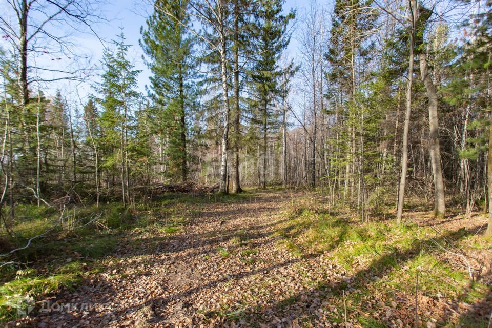 земля г Тобольск Ершовка, Тобольск городской округ фото 2